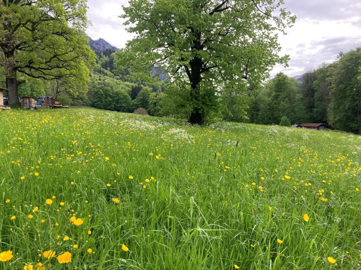 Ferienwohnung Ciao-Aschau Haus Zur Burg Ap112 Burgblick Aschau im Chiemgau Exterior foto