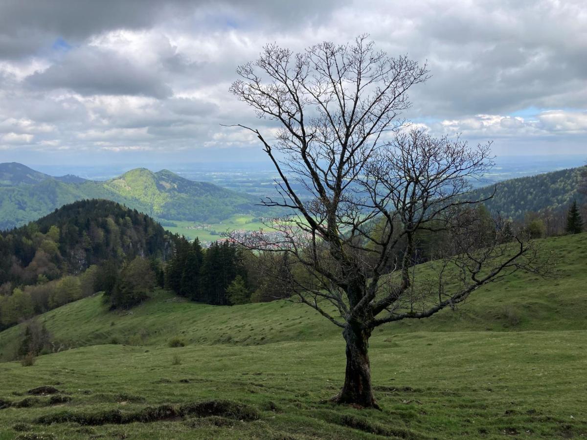 Ferienwohnung Ciao-Aschau Haus Zur Burg Ap112 Burgblick Aschau im Chiemgau Exterior foto